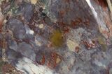 Polished Colorful Jasper and Agate Specimen - Madagascar #318387-2